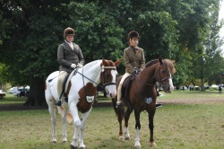 HOY Pleasure Pony Reserve and Champion
