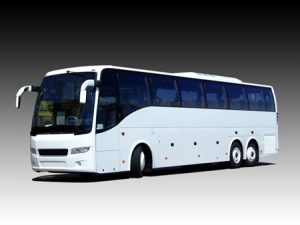 bus hire auckland nz